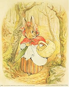 Beatrix Potter - The Tale of Peter Rabbit Kids Room Wall Decor Art Print Poster (16x20)
