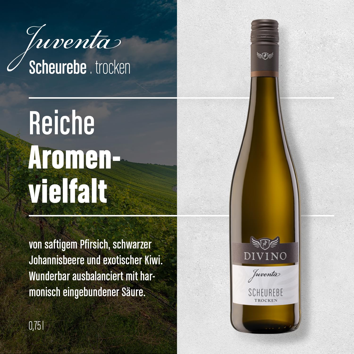 DIVINO Juventa Frankenwein Probierpaket - Silvaner, Grauer Burgunder, Scheurebe, Rotling, Merlot, Cuvée - Qualitätsweine direkt aus den Weinbergen Frankens (6 x 0,75l) 4