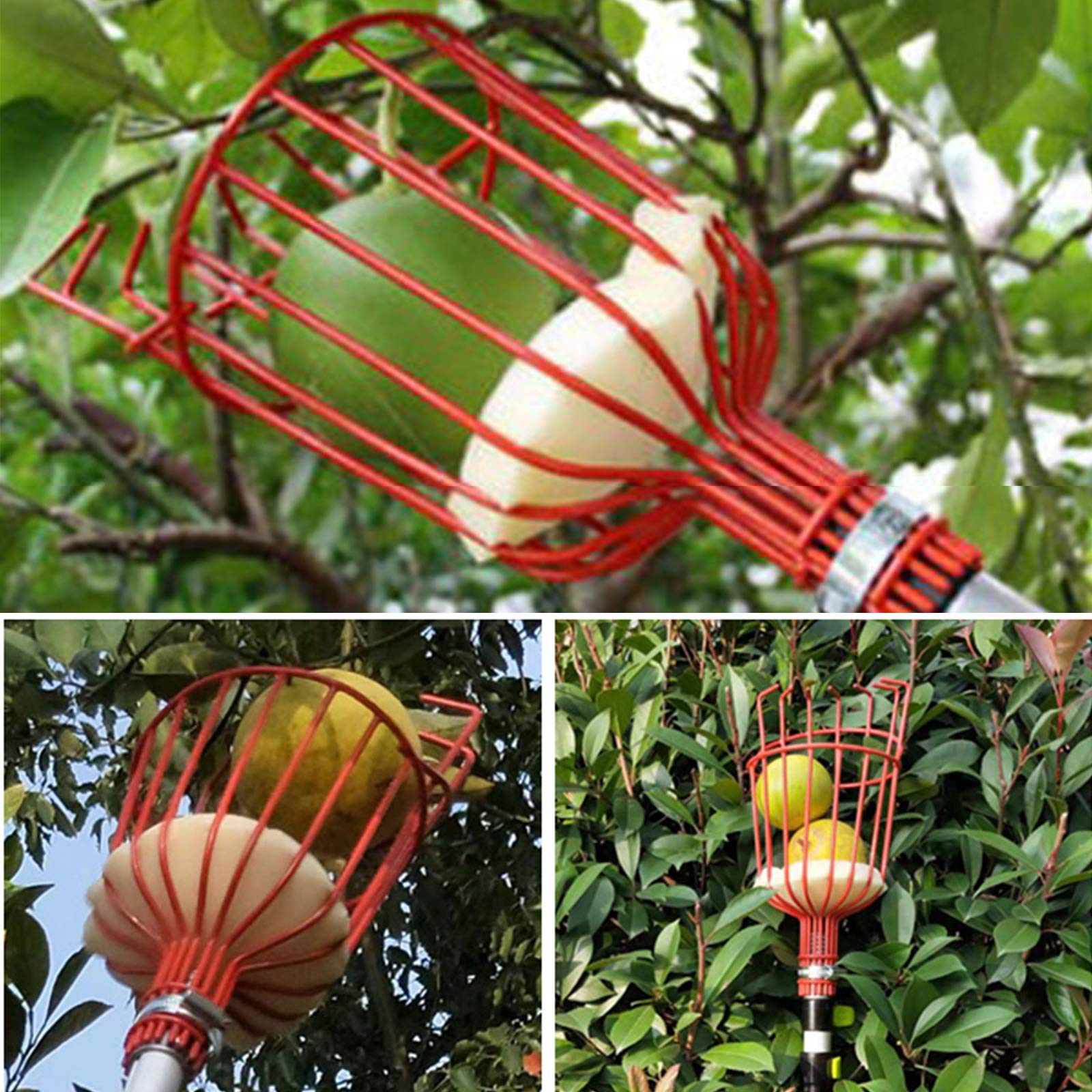 Voilamart Obstpflücker mit Teleskopstange,4 m Verstellbarer Erntehelfer Obsternte Obstgreifer Apfelpflücker für Obsternte Garten Apfel Birne Pfirsich Werkzeuge,Leicht Schwarz Aluminiumlegierung