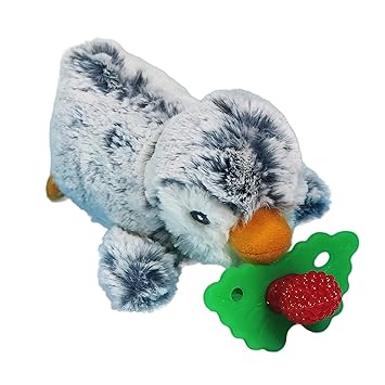 razbaby teether buddy