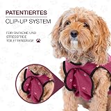 BellyGuard Dog Recovery Suit After Surgery Cozy Bodysuit view 6