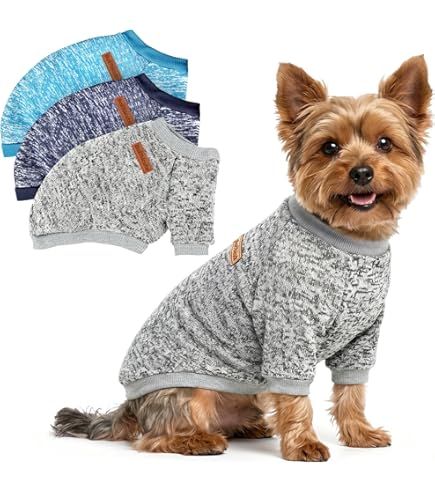 Amazon.com : Zack & Zoey Aberdeen Sweater for Dogs, 24