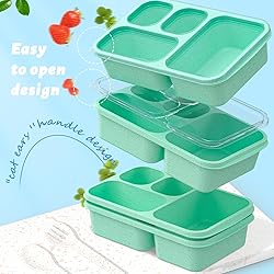 Bento Box for Adults and Snack Containers Set of 4