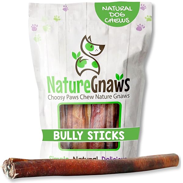 NATURE GNAWS EXTRA LARGE BULLY STICKS FOR DOGS 11-12″ (6 COUNT) – THICK LONG LASTING FOR AGGRESSIVE CHEWERS AND HEAVY CHEWERS – NATURAL BEEF DOG CHEW BONES