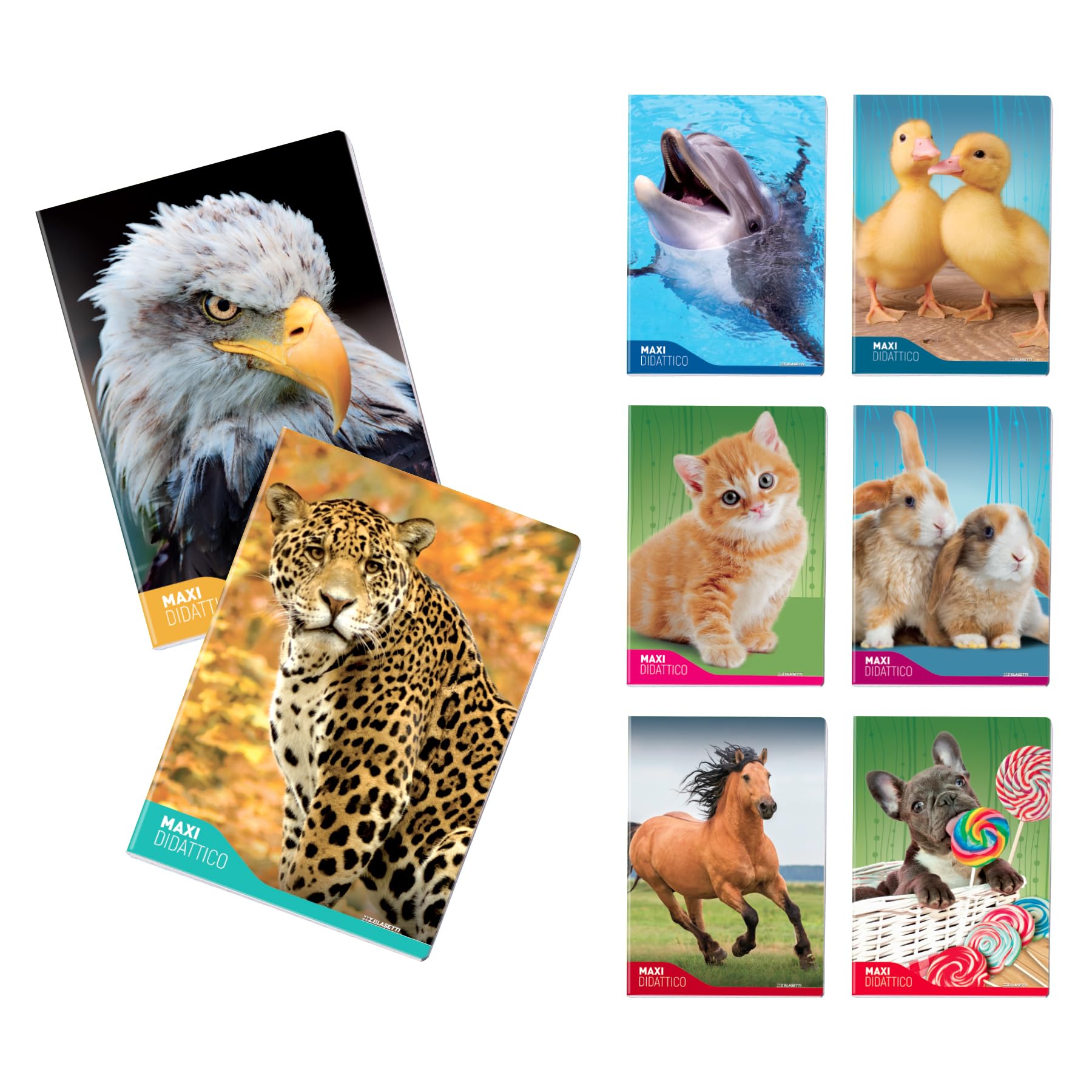 Blasetti - 6 Maxi Learning Notebooks with One Colour Pattern. 100 g paper, 72 sides + flap, Jolly Page, ideal for dysgraphy, pack containing assorted colours - Squares (10M)