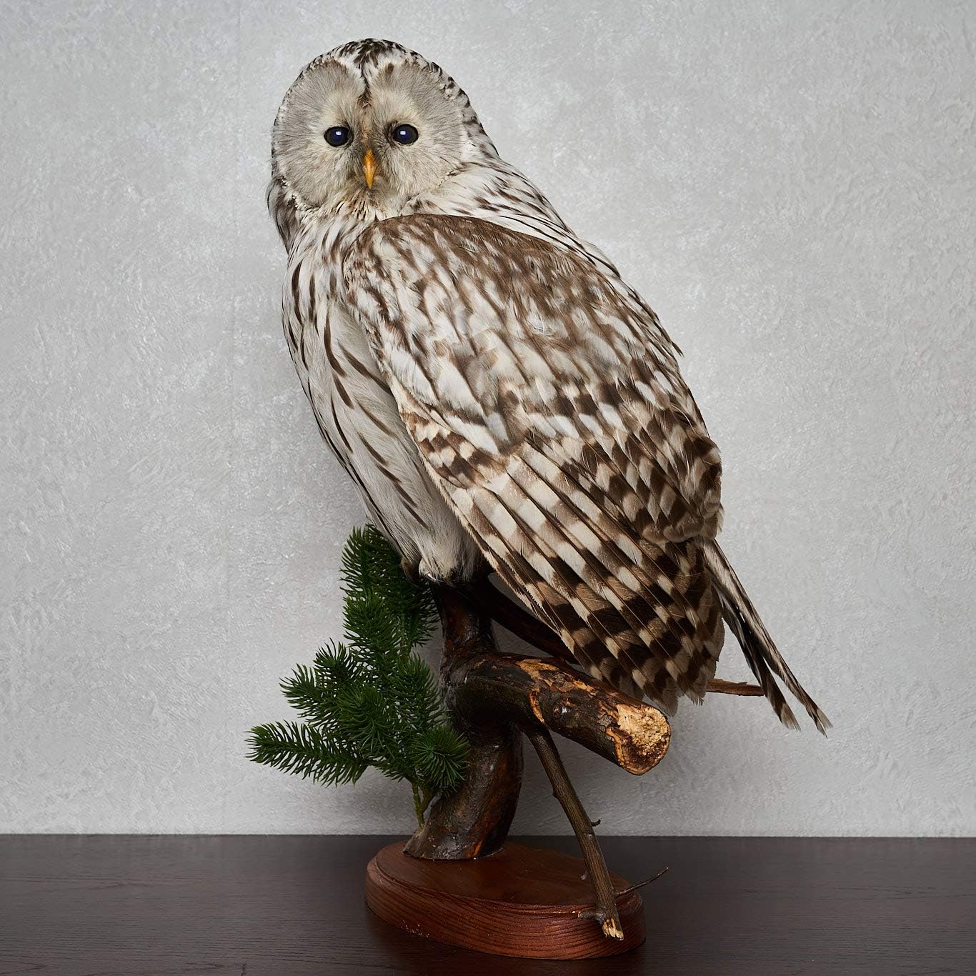 stuffed owl for sale