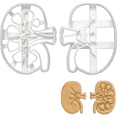 Set of 2 Kidney cookie cutters (Designs: External and Internal Kidney), 2 pieces - Bakerlogy