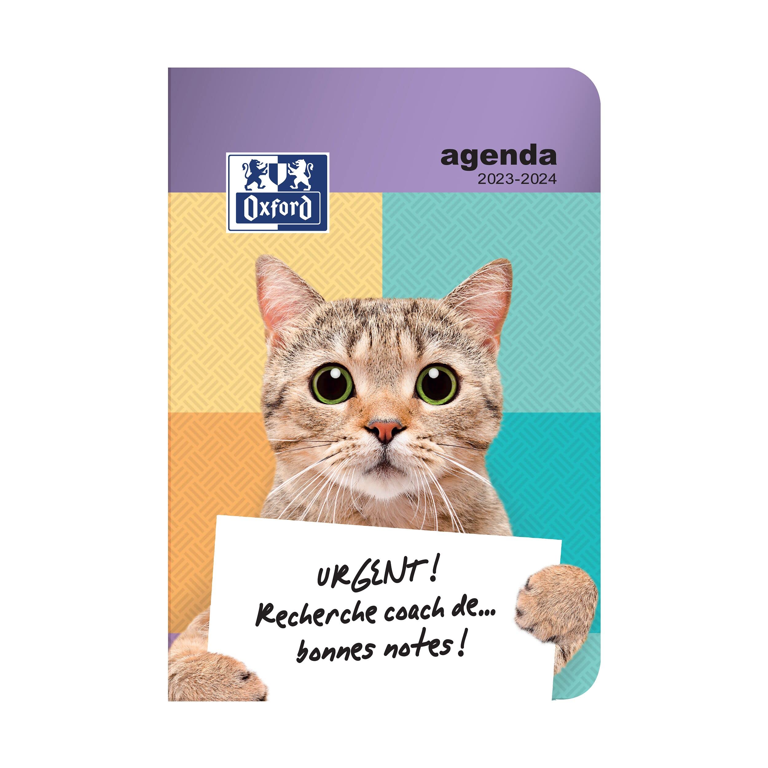 Oxford Funny Pets Diary 12 x 18 cm 1 Day per Page 352 Pages Sept 23-Sept 24 Cat