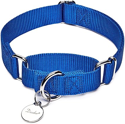 Dazzber Collier De Chien Martingalepas De Traction Pas Dévasioncollier De Chien De Couleur Unie Réglable Pour Grandsmoyenspetits Chiens