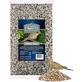 Brooks Brand Birds of a Feather Deluxe Dove Food, Pigeon Food, Mourning Dove Outdoor Bird Seed, Dove Bird Seed, Comida para Palomas, Made in USA, 8 lbs