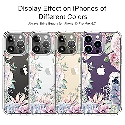 bicol for iPhone 13 Pro Max Case with Screen and