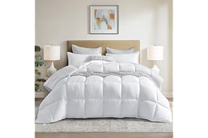 DORRIN NESSIN Winter Extra Warm White Queen Size Down Alternative Comforter, Heavyweight All Season Fiberfill Comforter Duvet Insert 90x90 with Corner Tabs - Ultra Soft Brushed Microfiber Shell