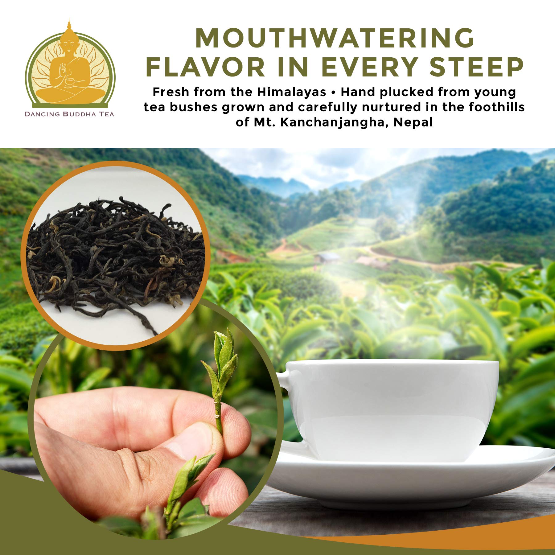Golden Goddess Nepali Gold Gourmet Black Tea Loose Leaf Organic