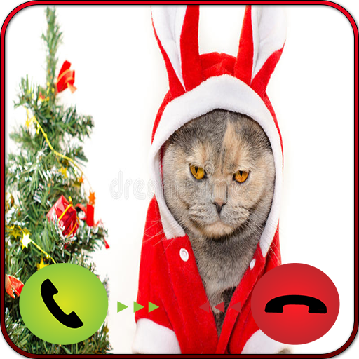 Live Video Call Christmas CatAmazon.co.jpAppstore for Android