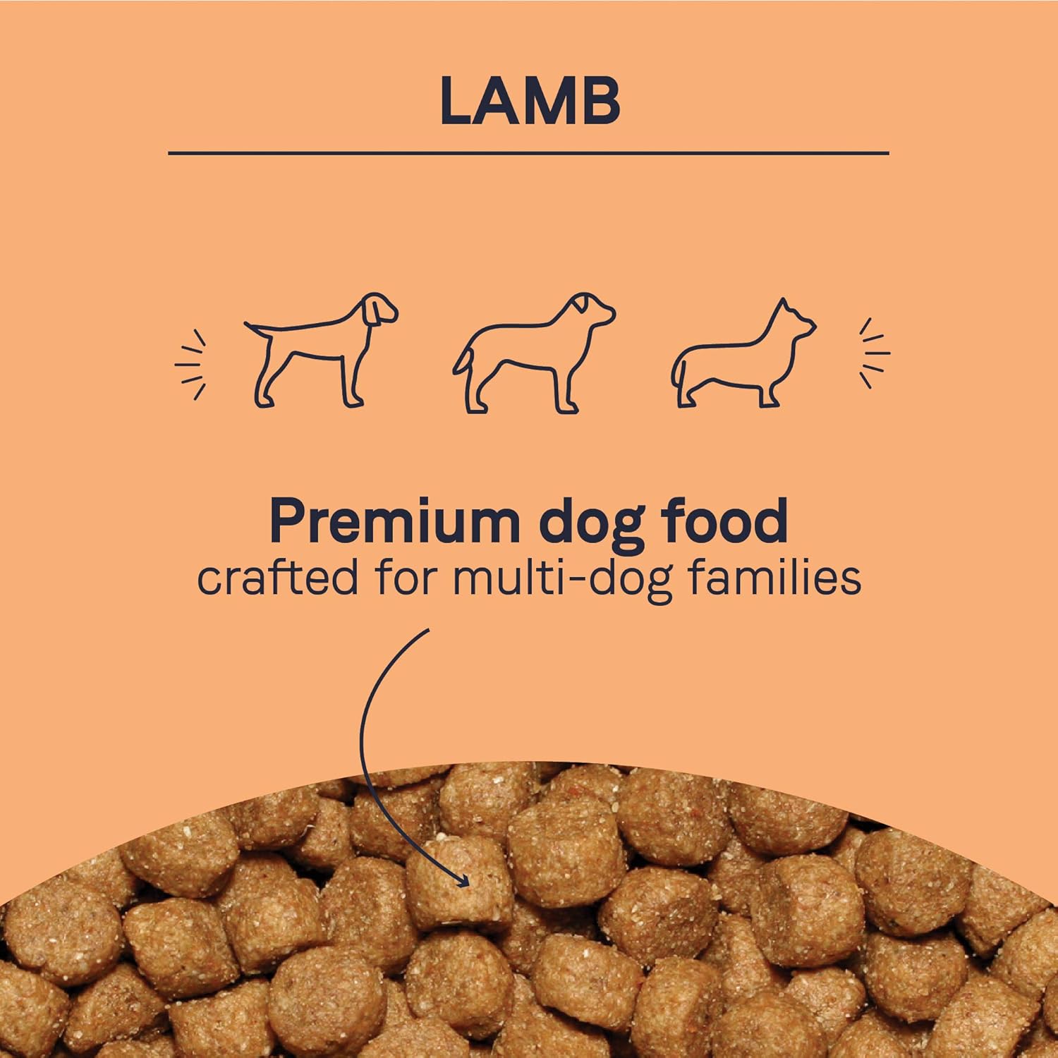 canidae lamb and rice