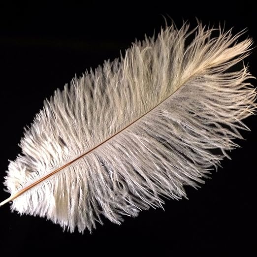 Ostrich Feathers 10" 12" / 25cm 30cm Pick Quantity / 25 Colours