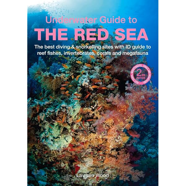 RED SEA DIVER'S GUIDE BOOK│紅海ガイドブック An Underwater Guide to the Red Sea: Wood, Lawson: 9781913679361