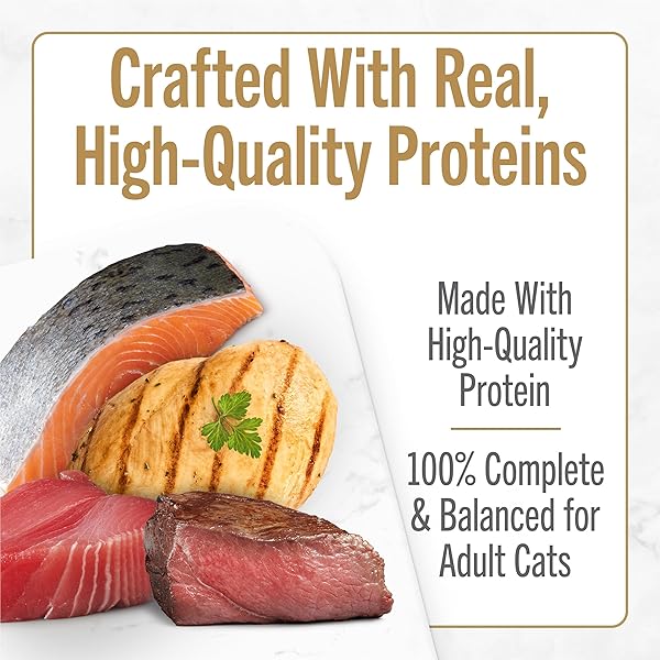PURINA FANCY FEAST SAVORY CENTERS WET CAT FOOD PATE VARIETY PACK WITH CHICKEN, SALMON, BEEF, AND TUNA PATE WITH GRAVY CENTER – (2 PACKS OF 12) 3 OZ. PULL-TOP CANS