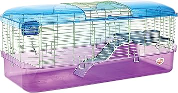 german shepherd older dogs for sale