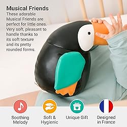 Little Big Friends Musical Friends | Pull String