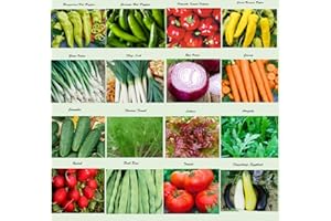 APEXMODE Set of 16 Assorted Organic Vegetable Seeds & Herb Seeds for Planting 16 Varieties Create a Deluxe Garden Heirloom, 100% Non-GMO Sweet Pepper Seeds, Hot Pepper Seeds-Red Onion Seeds- Green Onion Seeds