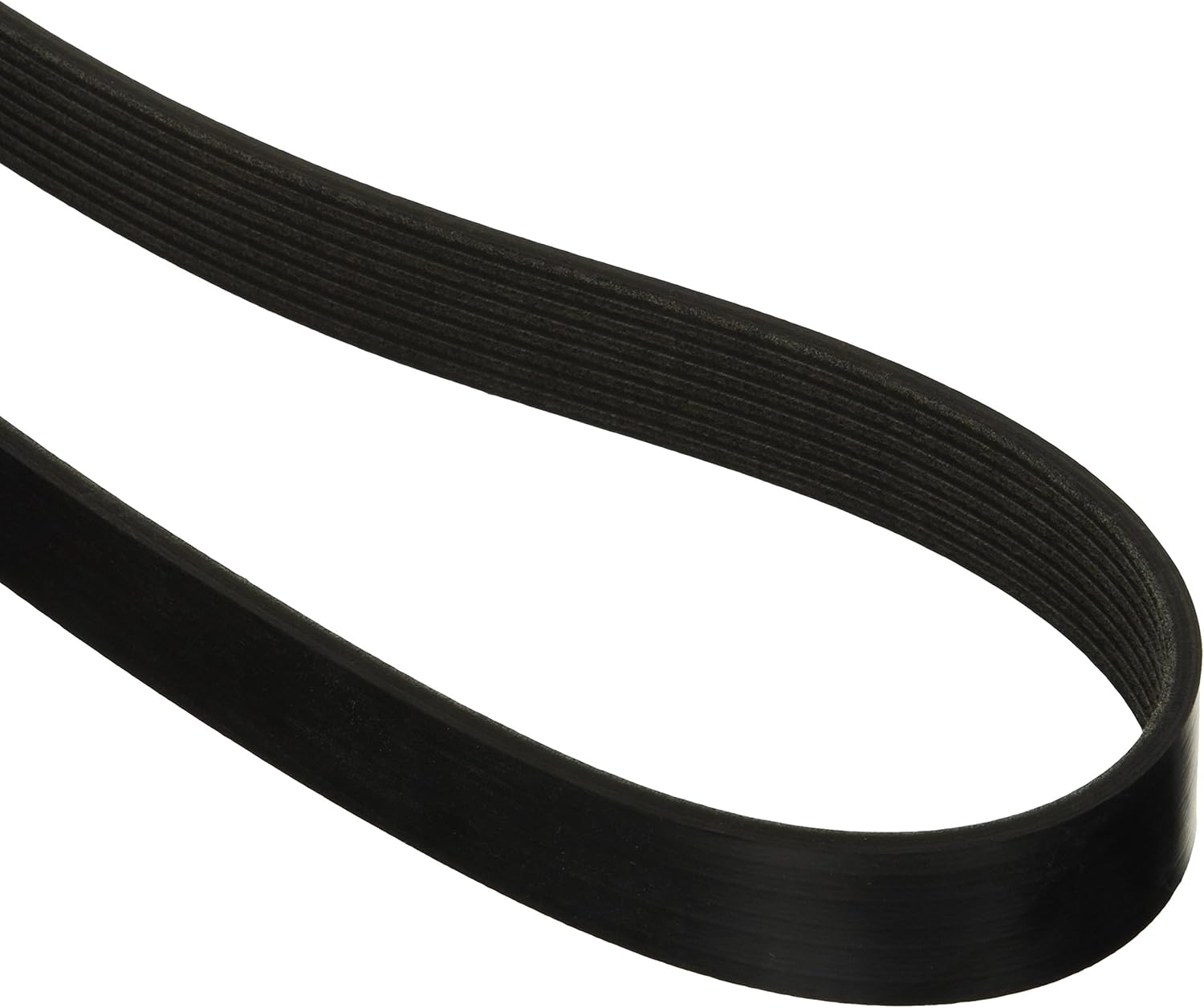 Motorcraft JK81267A V-Ribbed Belt: Automotive