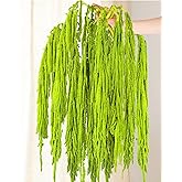 10Pcs Neon Green Dried Amaranthus Hanging Flowers – 23" Dyed Natural Preserved Flowers for Wedding Arch, Floral Garland, Rustic Vase Decor