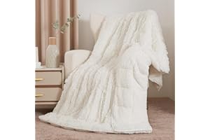 Drewin Weighted Blanket 15lbs Queen Size, Shaggy Faux Fur Sherpa Weighted Blankets for Sleep Natural and Calming, Cozy Warm Plush Fluffy Blanket for Bed Couch Sofa, Cream White, 60 x 80 inches