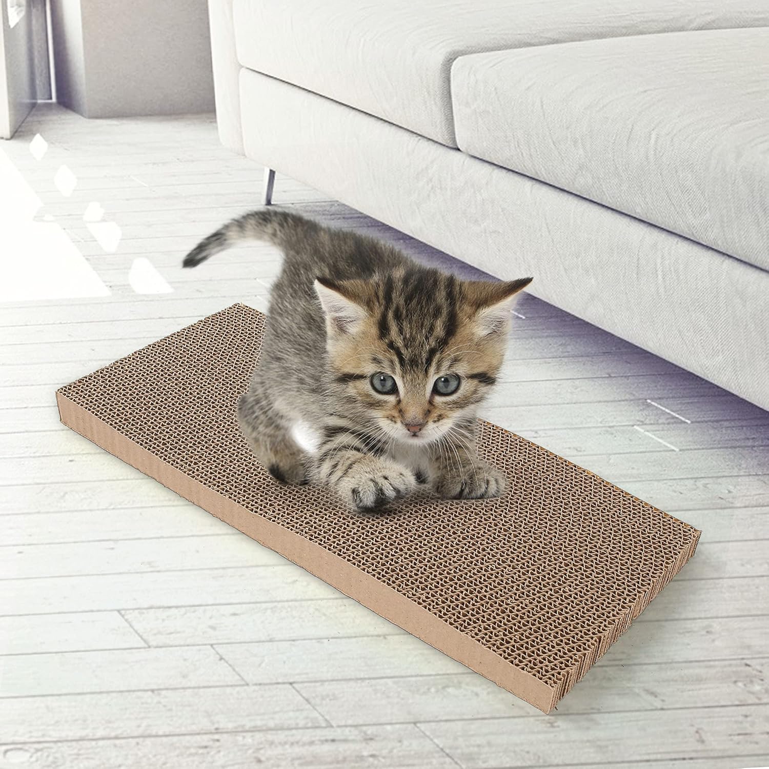3 in 1 Cat Scratcher Cardboard, Reversible Corrugated Cat Scratching Pad, Recycle Wave Curved Scratcher Board Lounge Sofa Bed Repalcement for Furniture Protector, Catnip Included : Kitchen & Dining