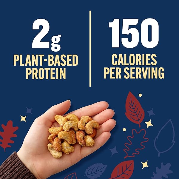PLANTERS APPLE CIDER DONUT CASHEWS 13OZ
