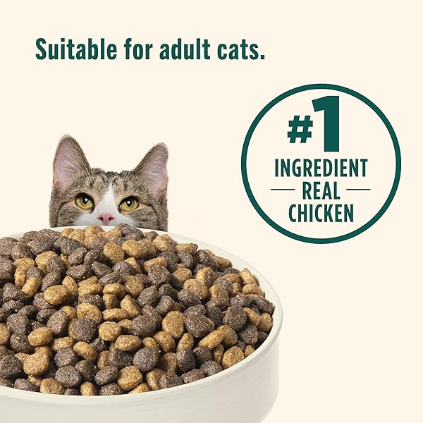 NUTRISH INDOOR COMPLETE DRY CAT FOOD, CHICKEN, LENTILS & SALMON RECIPE (RACHAEL RAY), 3 LB. BAG
