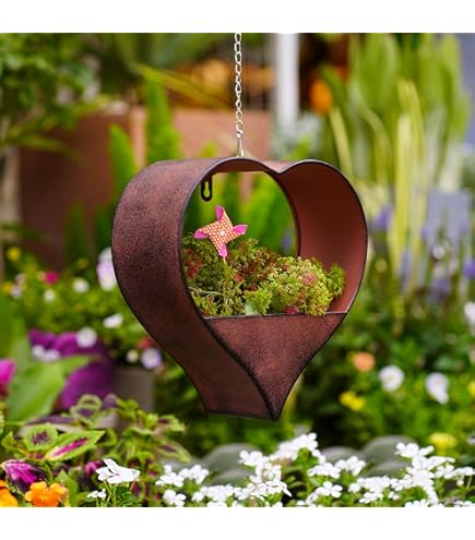 Amazon.com: Topiary Art Works Queen Elizabeth Parasol Hanging