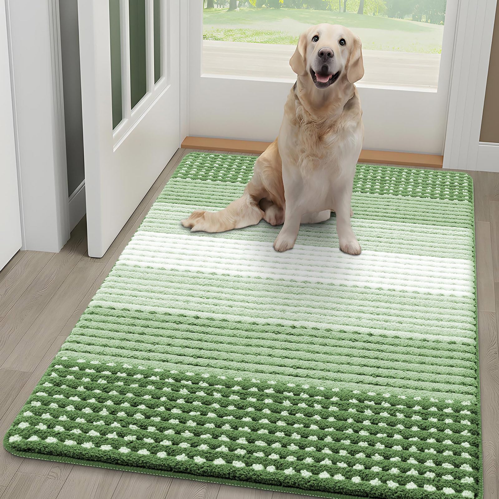 Kitinjoy Indoor Outdoor Door Mat, 48x30 Non-Slip Absorbent Dirt Trapper, Low-Profile Washable Inside Entrance Front Floor Mat, Sturdy Soft Entry Dotted Ombre Doormats for Entryway, Sage Green Image