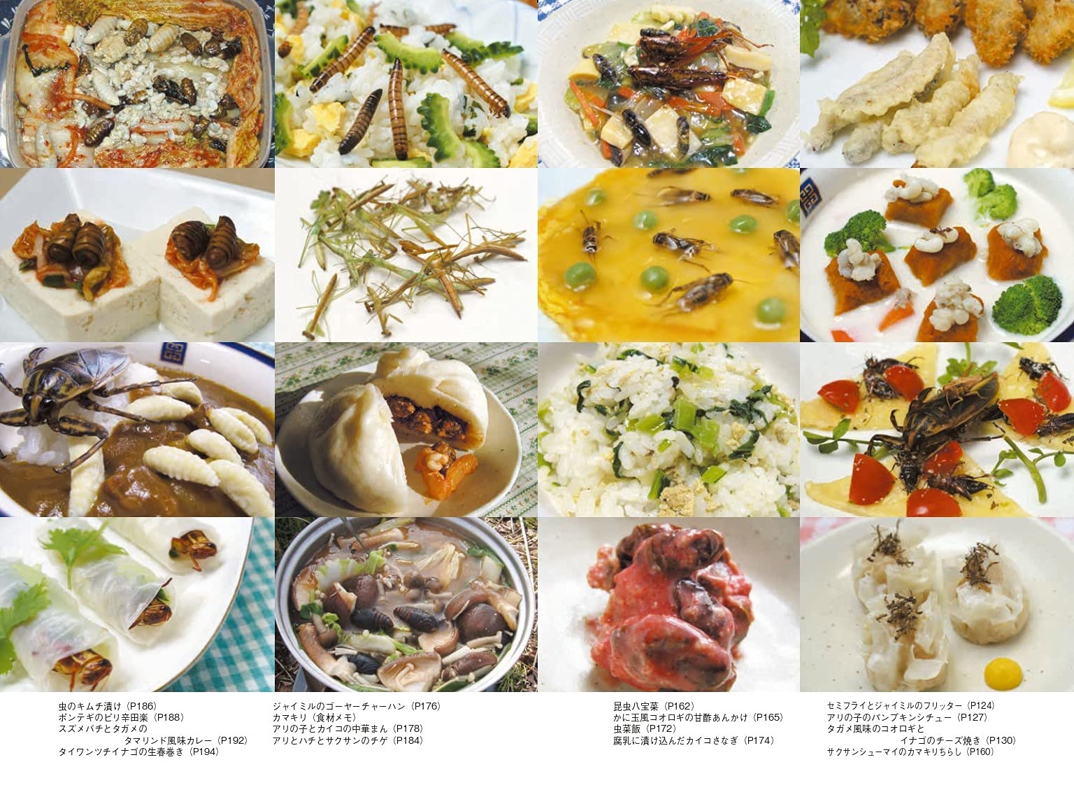 新装版 楽しい昆虫料理 内山 昭一 本 通販 Amazon