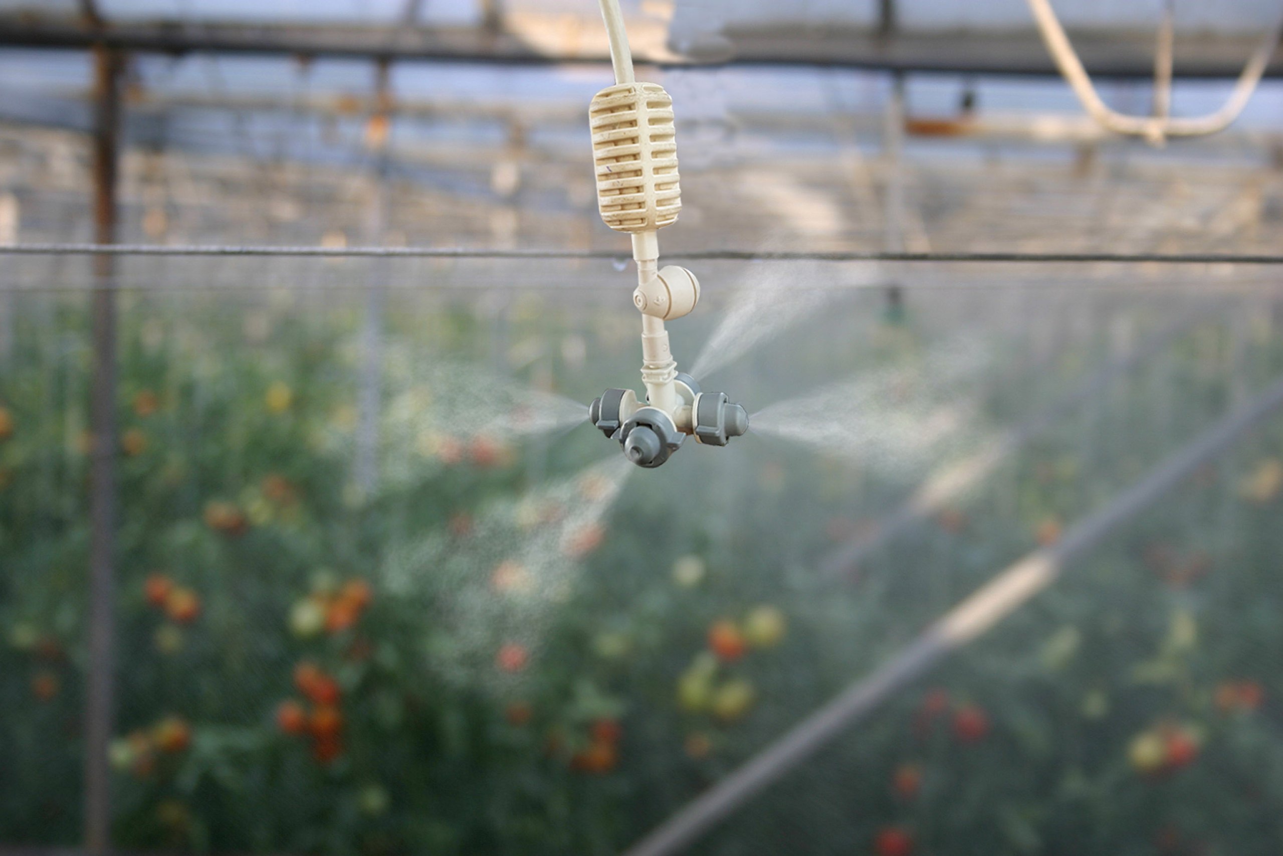 Mistcooling Netafim Fogger / Mist Cooling Misting Fogger With Check