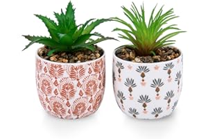 Karlliu 2 Pack Artificial Plants Small Cute Succulents in Ceramic Planters Fake Greenery Potted for Living Room Office Desk Decor Bathroom Bedroom Shelves Decor