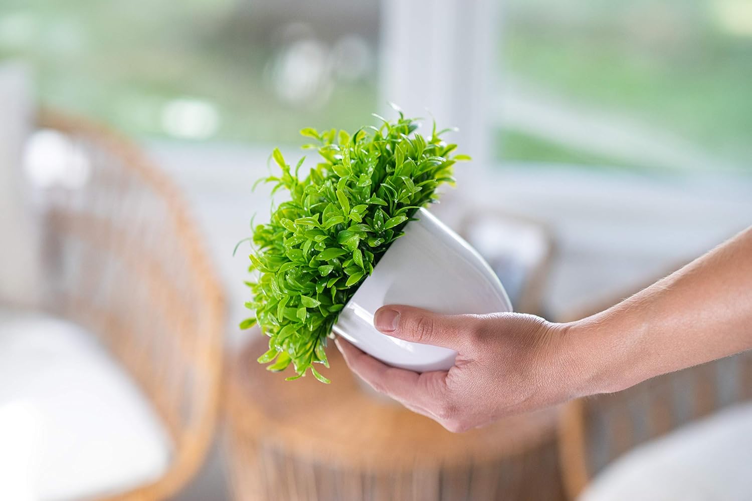 Plants+ Artificial Fake Faux Indoor House Desk Office Plant for Decoration - Plastic Lifelike Flower with White Pot, Outdoor Decor Topiary Greenery, Set of 3, Spring Bloom -