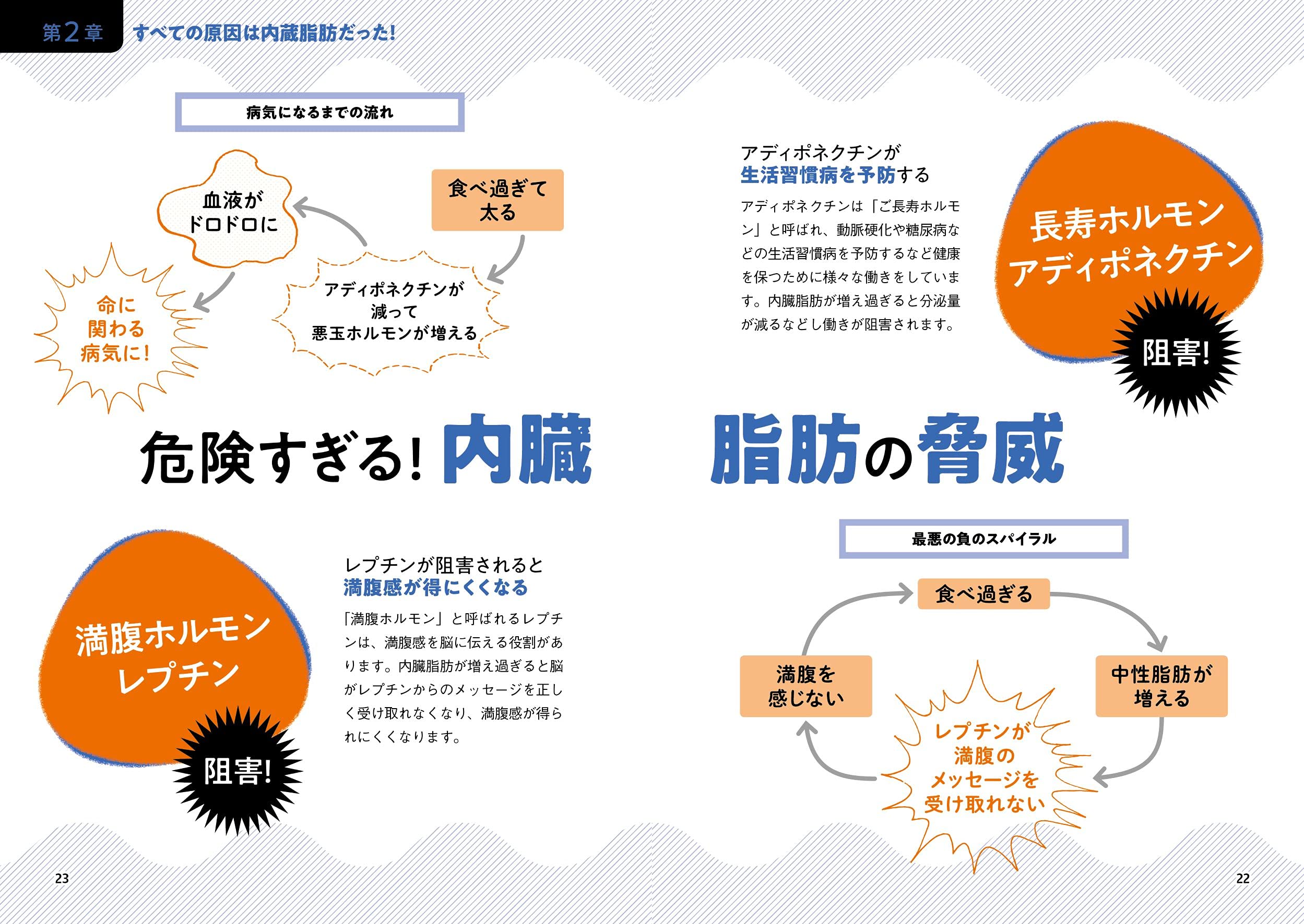 ストレス0 で内臓脂肪が落ちる食べ方 2週間でお腹が凹む医者が教える食事術 栗原 毅 本 通販 Amazon