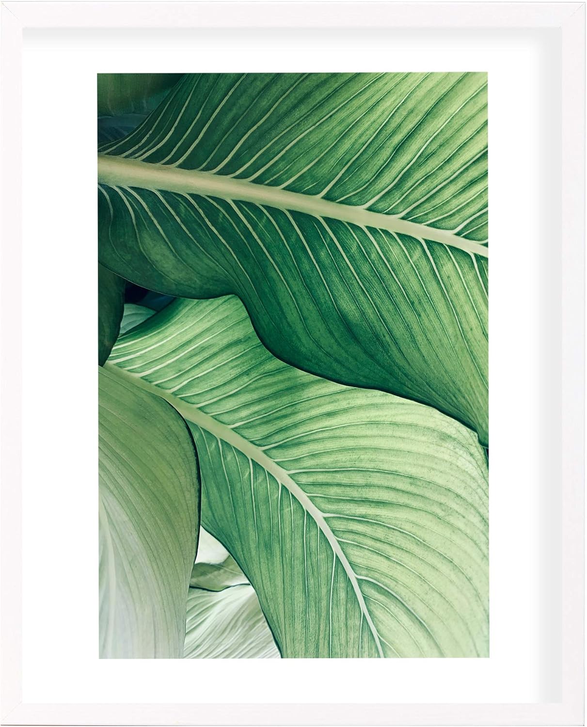 Postergaleria Bilderrahmen 50x70 Weiss Holz Plexiglas 8 Farben 10 Grossen Posterrahmen Fotorahmen Amazon De Kuche Haushalt