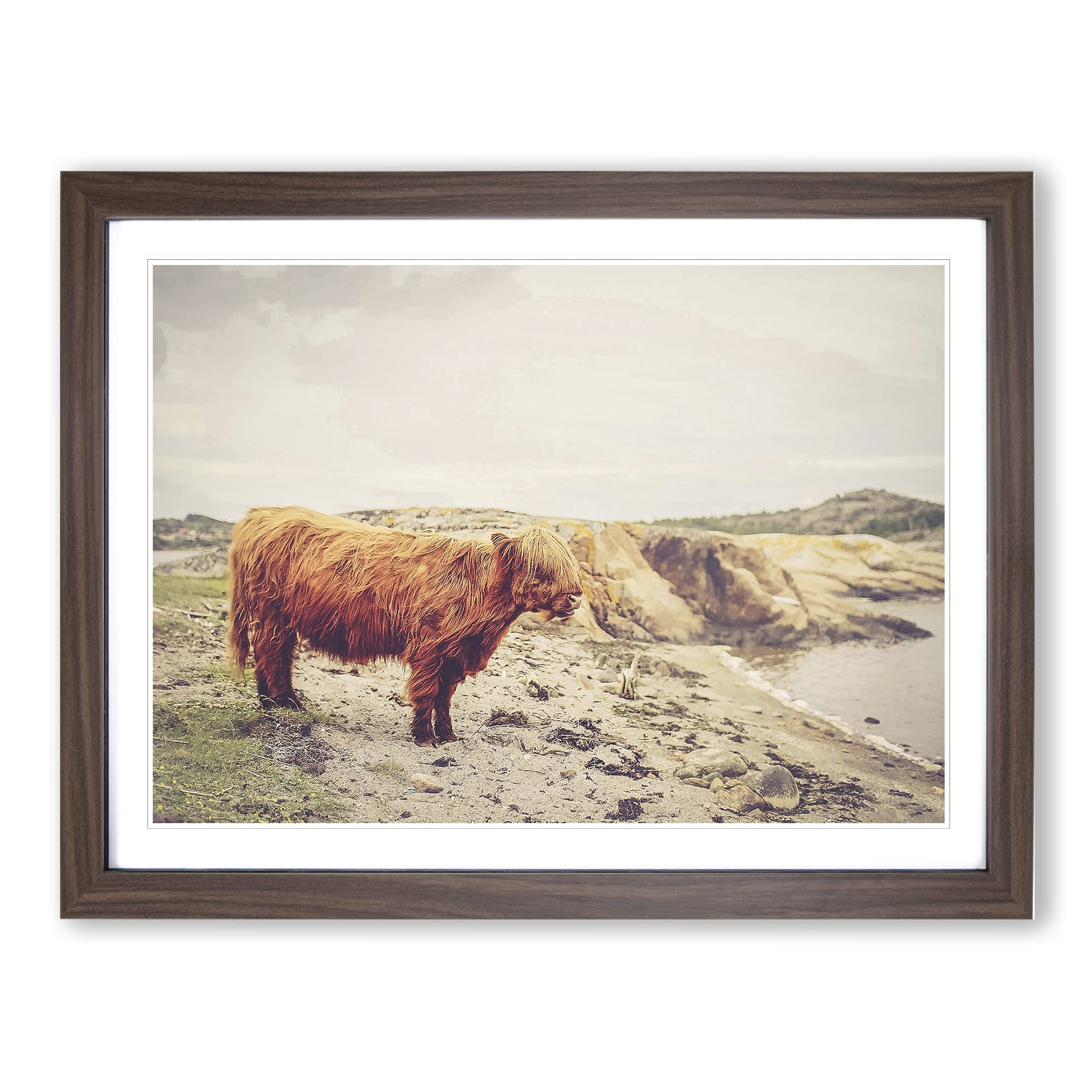 Highland Cow Landscape Modern Framed Wall Art Print, Ready to Hang Picture for Living Room Bedroom Home Office Décor, Walnut A4 (34 x 25 cm)