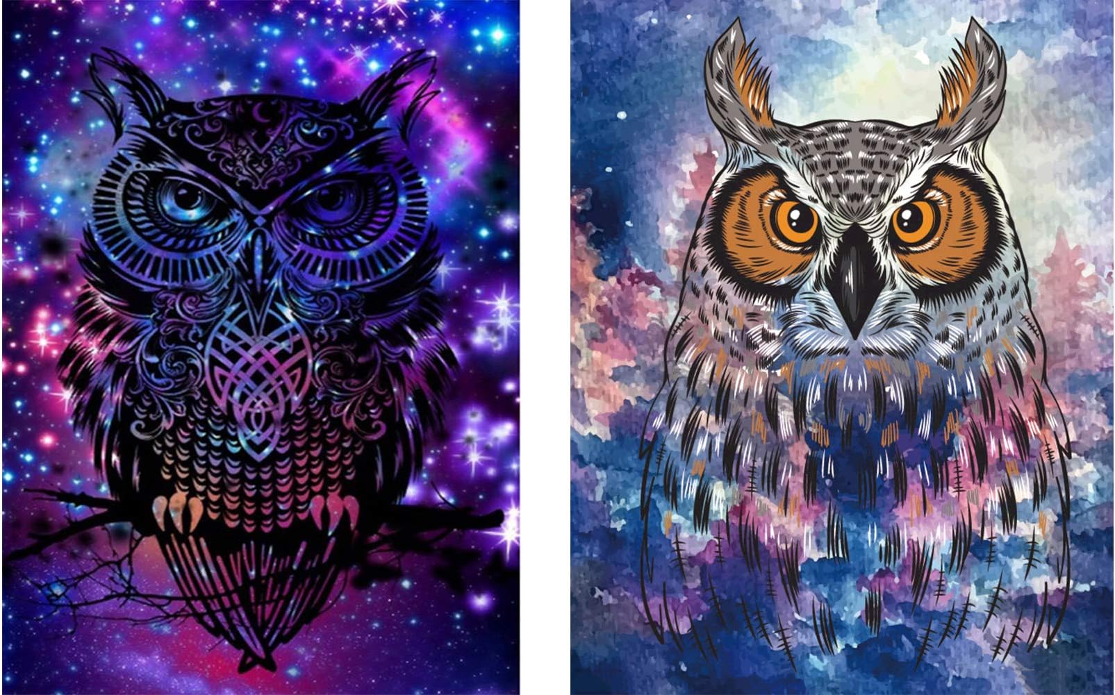 Avton 2-Pack 5D Diamond Painting Kits for Adults Full Drill Diamond Embroidery Bright & Dark Owl Suit（30x40cm,12x16in)