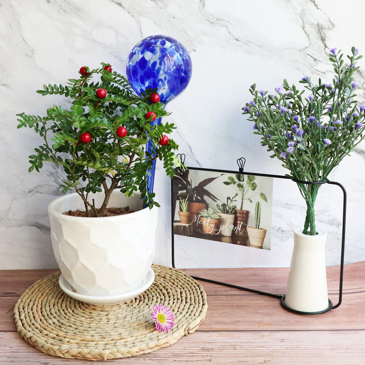 Brajttt Plant Watering Globes, 2 Pieces Automatic Watering Bulbs, Cute Glass Watering Globes with 2 Tags : Garden & Outdoor