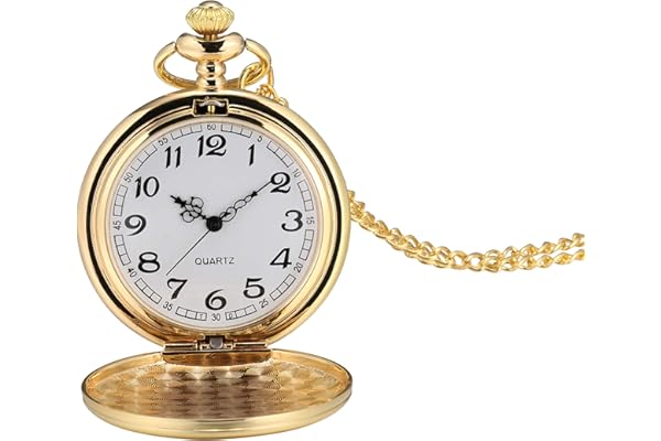 817J4i0EbUL._AC_UL600_SR600,400_ Beginner's Guide: How to Start Collecting Watches?