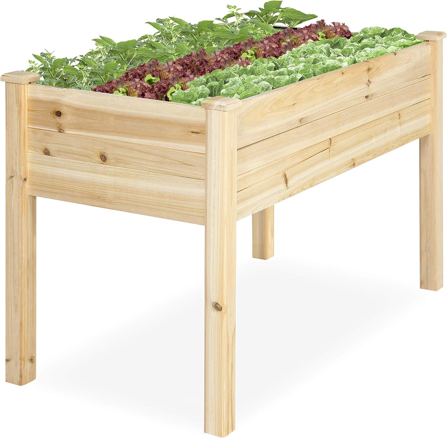 Best Garden Bed Decoration
