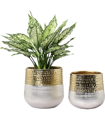 Amazon.com : MyGift 7 Inch Deluxe Modern Hammered Brass Tone Metal