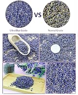 TooGet Fragrant Lavender Buds Natural Dried Flowers Ultra Blue Grade 2 Pounds view 3