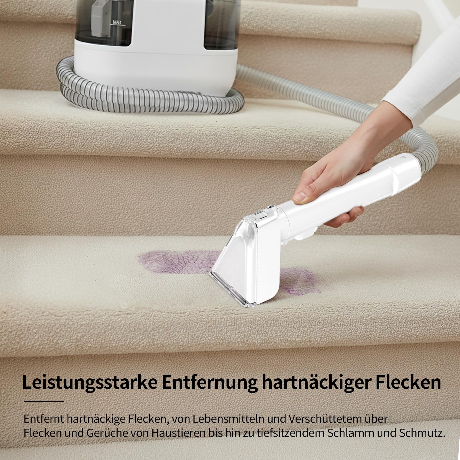PUREBEAR Waschsauger Polsterreiniger Gerät, 500W Nasssauger 2