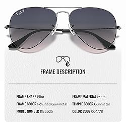 Ray-Ban RB3025 Classic Gradient Polarized Aviator