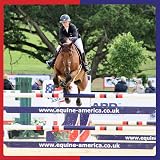 Equine America Airways Xtra Strength Ready To Use 500g Horse Supplement view 5