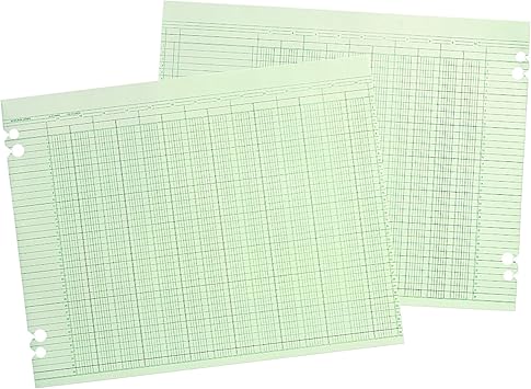 Amazon Com Wilson Jones G1010 Accounting Sheets 10 Column 9 1 4 X 11 7 8 Green Pack Of 100 Loose Sheets Office Products Amazon Com Wilson Jones G1010 Accounting Sheets 10 Column 9 1 4 X 11 7 8 Green Pack Of 100 Loose Sheets Office Products